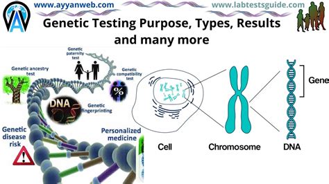 How gene tests are changing how we have babies .